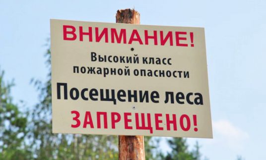 В Беларуси снова вводятся запреты на посещение лесов