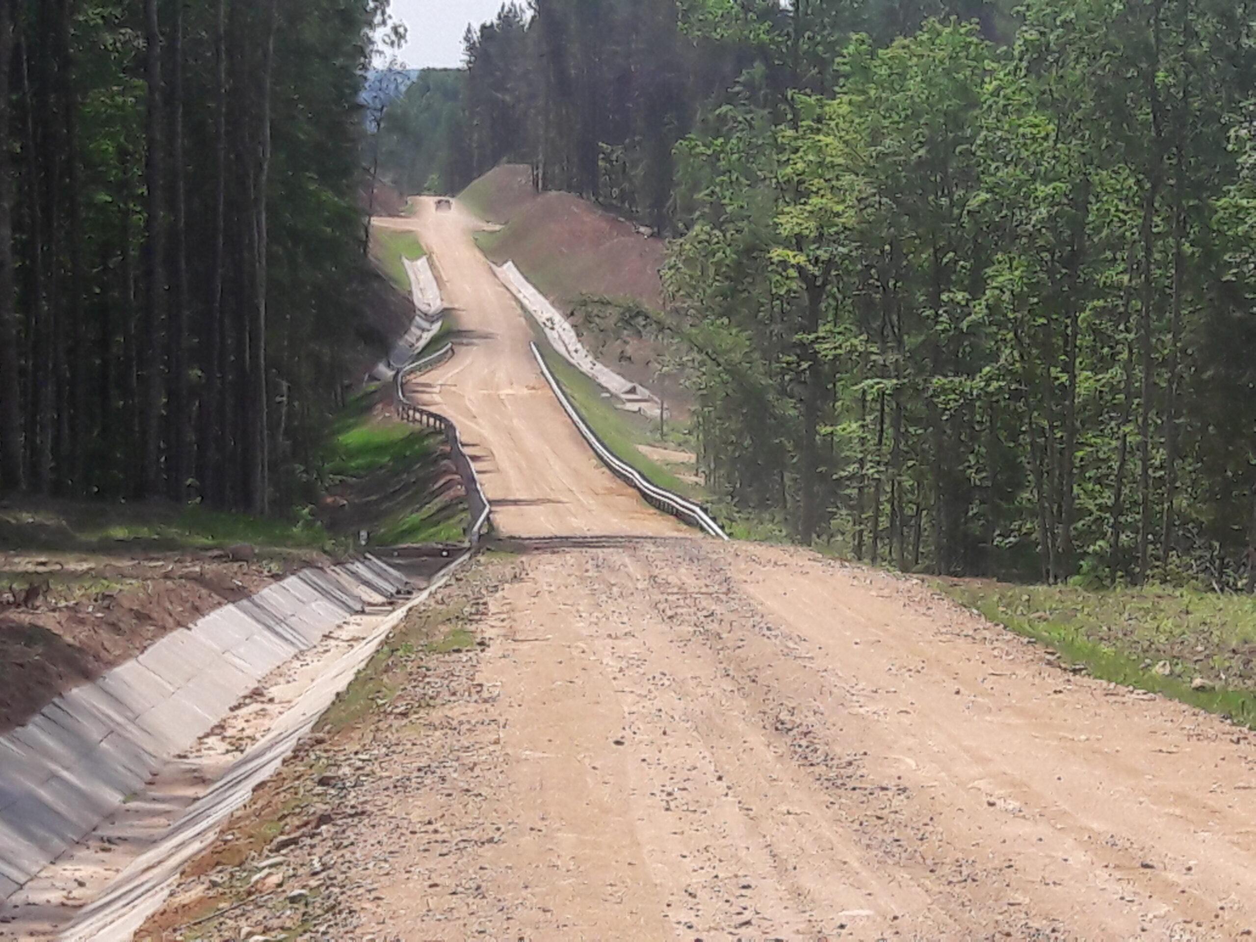 Организации Минлесхоза построили в 2022-м году более 100 км лесохозяйственных дорог