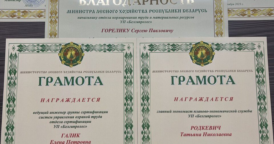 Профессиональный праздник День работников леса!