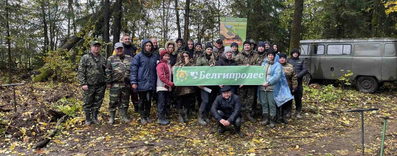 Аднавім лясы разам!