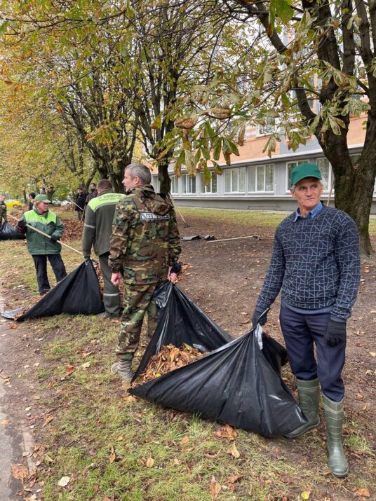 Мы - за порядок и чистоту!