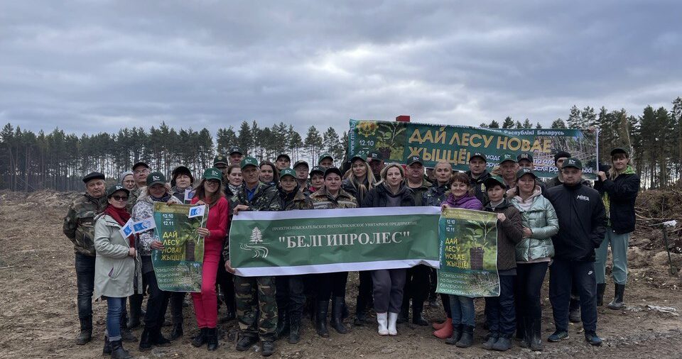 ДАЙ ЛЕСУ НОВАЕ ЖЫЦЦЕ!