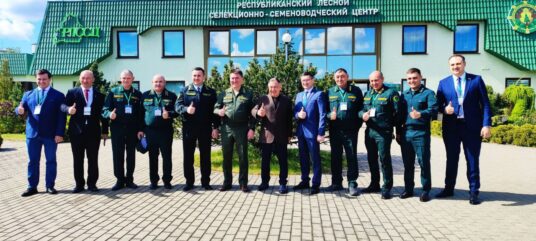 19 мая делегация лесоводов из Республики Татарстан приземлилась в Беларуси ✈️