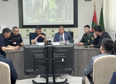 Внимание - белорусскому опыту 🌲