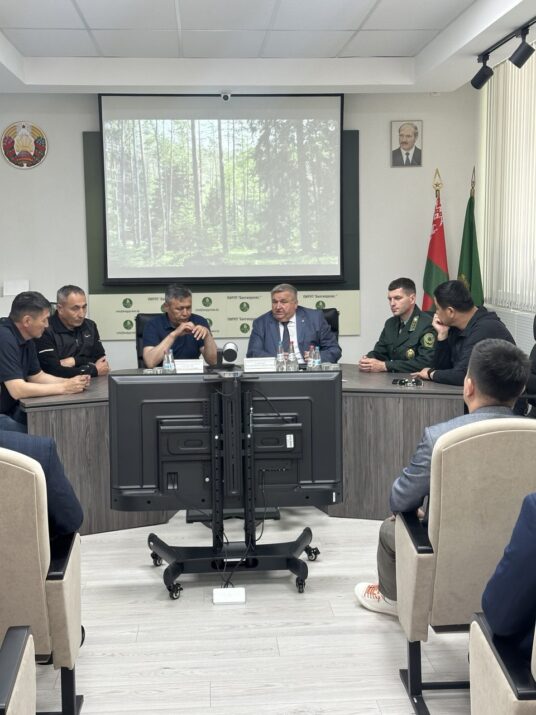 Внимание - белорусскому опыту 🌲