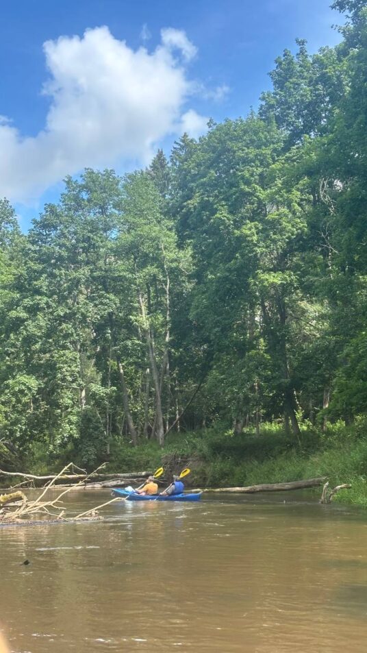 Команда УП «БЕЛГИПРОЛЕС» покоряла водные просторы! 🛶💦