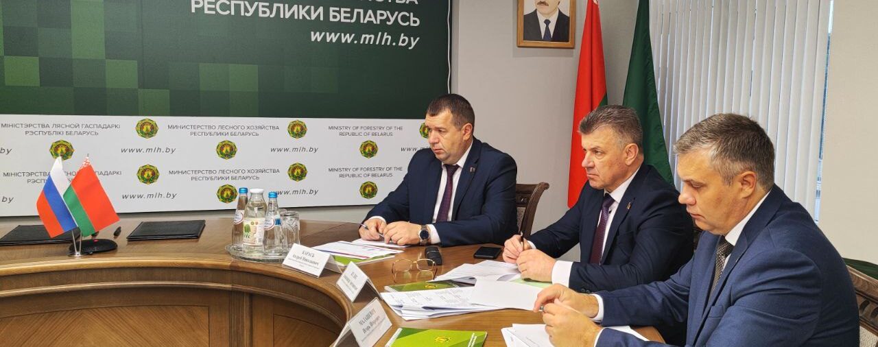 МЕЖДУНАРОДНОЕ СОТРУДНИЧЕСТВО
