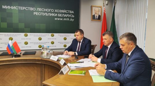 МЕЖДУНАРОДНОЕ СОТРУДНИЧЕСТВО