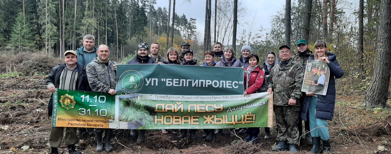 ДАЛИ ЛЕСУ НОВУЮ ЖИЗНЬ!🌱