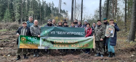 ДАЛИ ЛЕСУ НОВУЮ ЖИЗНЬ!🌱