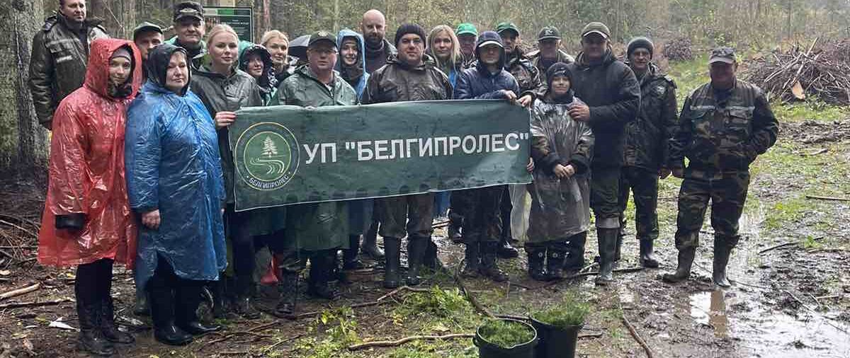 Мы подарили лесу надежду на новую жизнь.💚