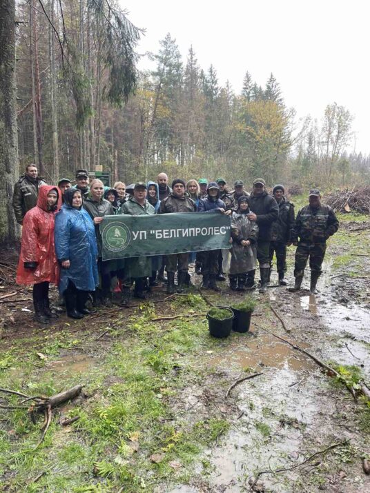 Мы подарили лесу надежду на новую жизнь.💚