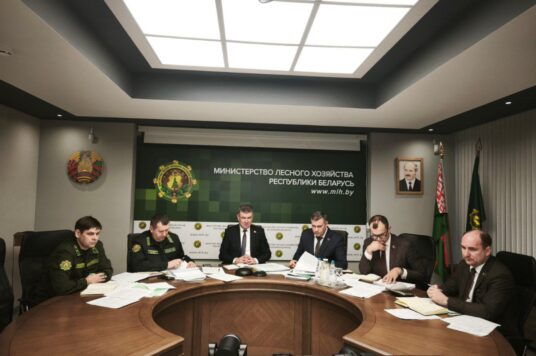 Завершение строительства лесохозяйственных дорог в отрасли возьмут на ежедневный контроль.