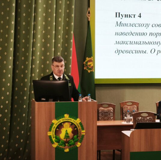 Последнее в этом году, но не последнее по значимости ☝️