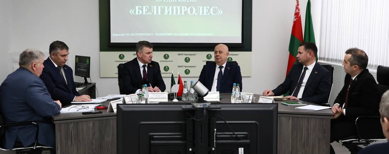 ⚡️Заместитель Премьер-министра Республики Беларусь Анатолий Александрович Сивак ознакомился  с работой УП «БЕЛГИПРОЛЕС».