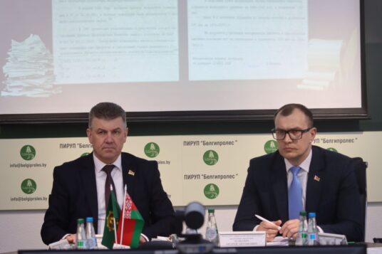 В УП «БЕЛГИПРОЛЕС» подвели итоги работы за 2025 год.