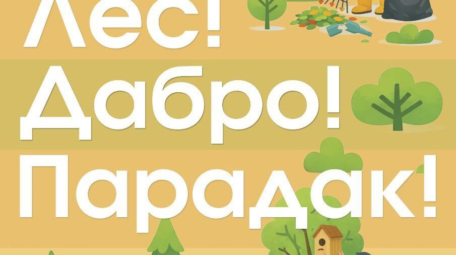 'Лес! Дабро! Парадак!'. Минлесхоз приглашает белорусов провести весну с пользой для леса.