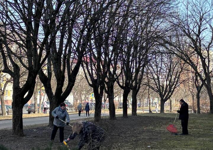 Месячник по наведению порядка🍃