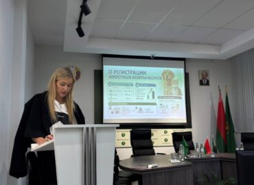Единый день информирования