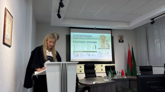 Единый день информирования