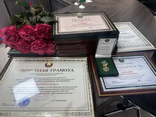 Профессиональный праздник - ДЕНЬ РАБОТНИКОВ ЛЕСА