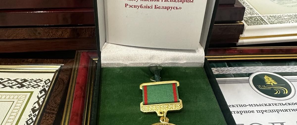 Награждение памятным нагрудным знаком
