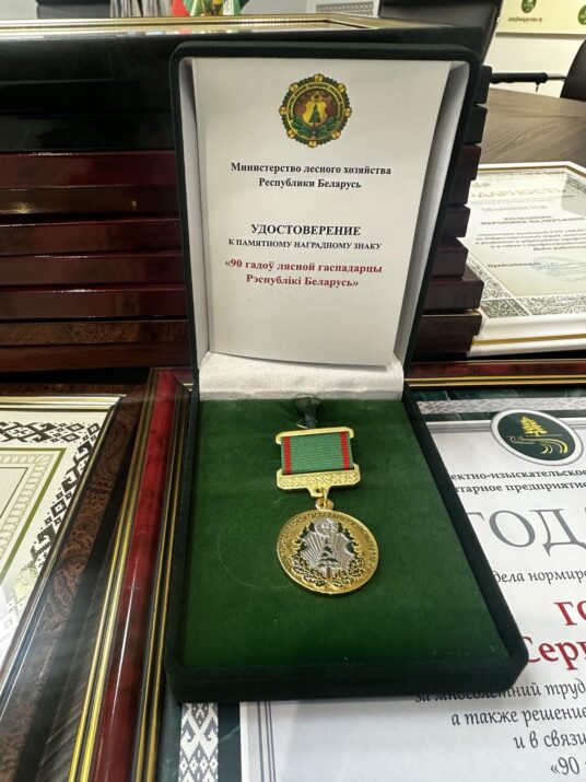 Награждение памятным нагрудным знаком