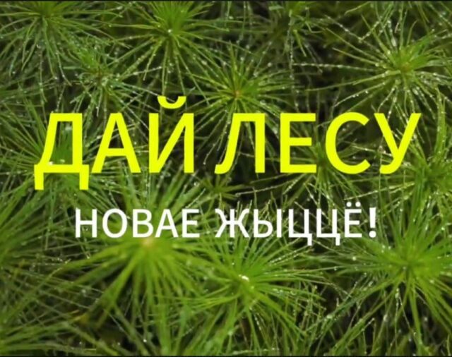 Акция 