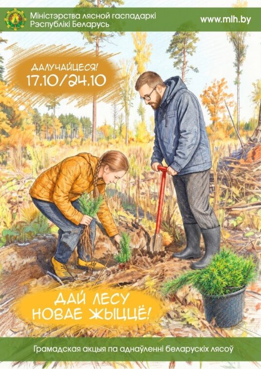 Акция "Дай лесу новае жыццё!" пройдет в Беларуси с 17 по 24 октября